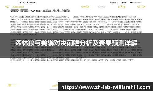森林狼与鹈鹕对决前瞻分析及赛果预测详解